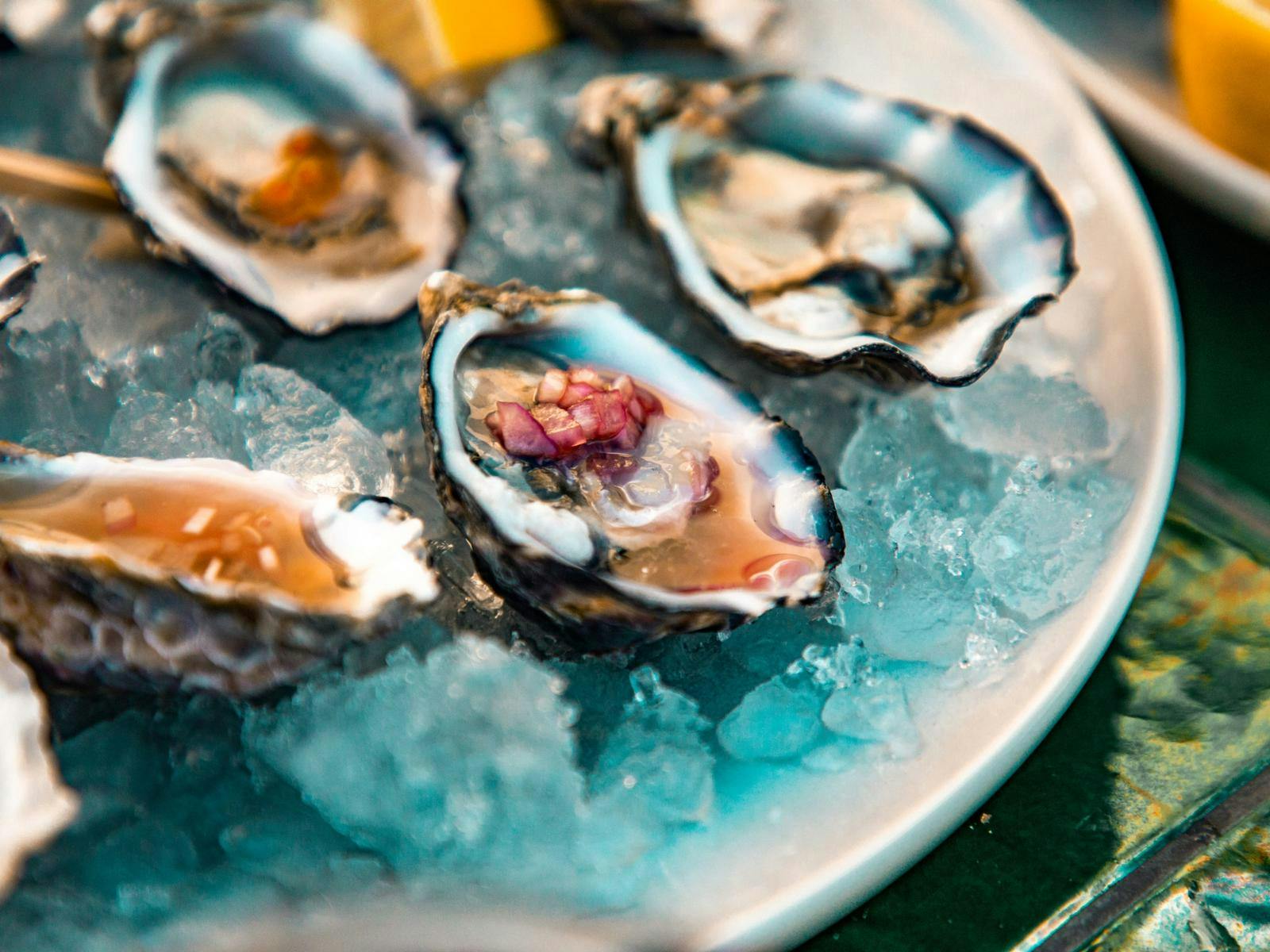 image of oysters on ice