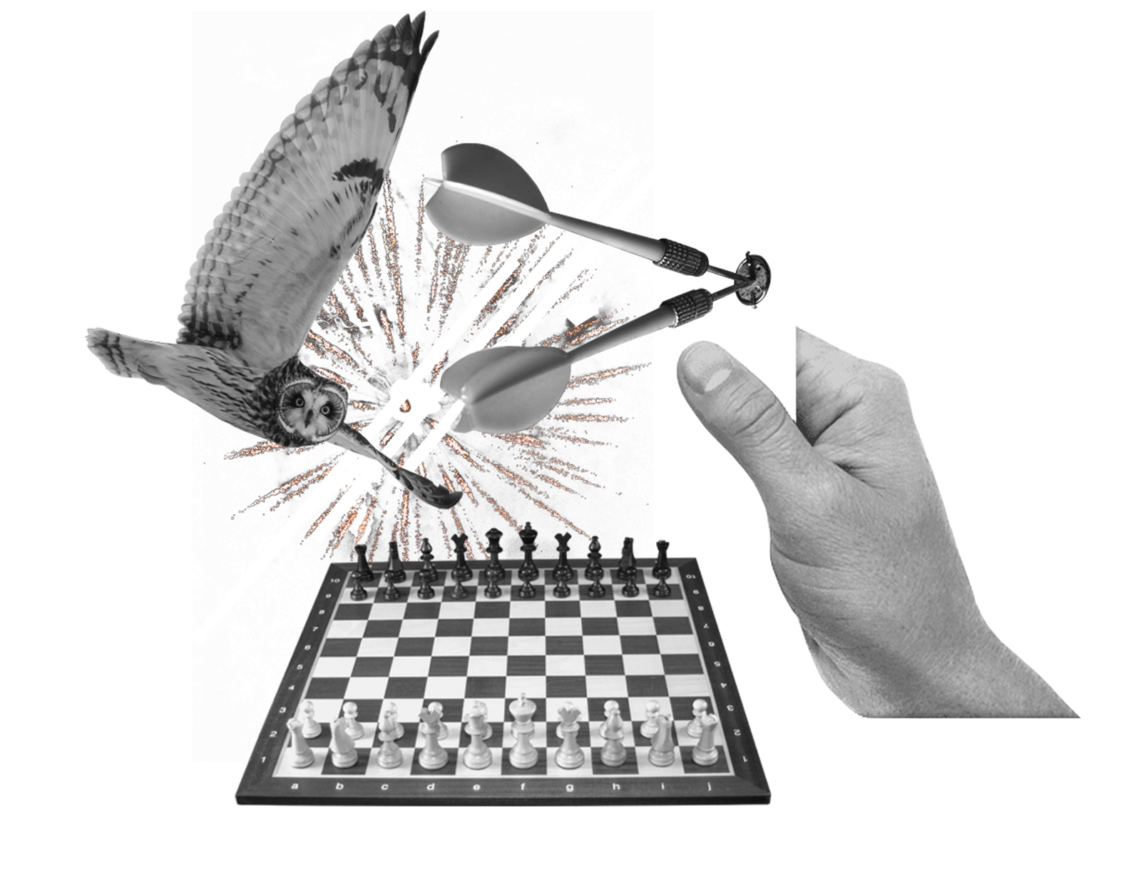 Collage with an owl, darts, and chess board being held by a hand